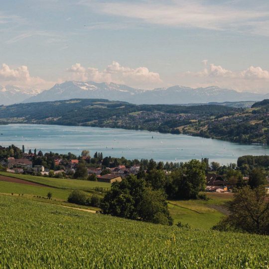 Hallwilersee im Kanton Aargau von Seengen